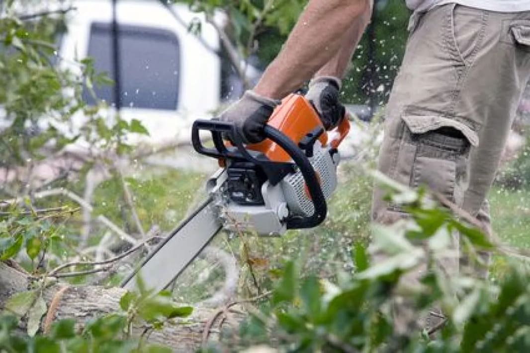 Tronçonneuse d'une entreprise élagage d’arbres professionnel entretien espaces verts création de jardins