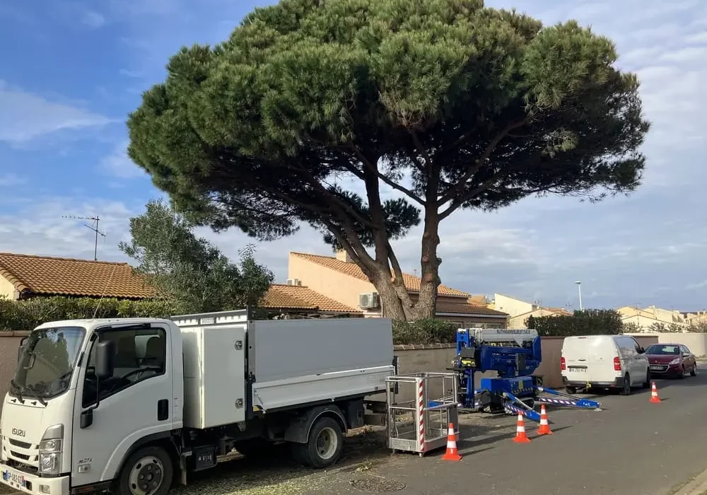 elages-d_arbre-société-mp-entrepreneur-du-paysage-beziers-herault Matériels broyage de végétaux Société paysagiste élagages d'arbres sur voirie beziers-herault
