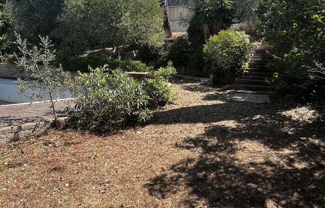 Chantier débroussaillage et élagage d’arbres professionnel Grande villa Béziers