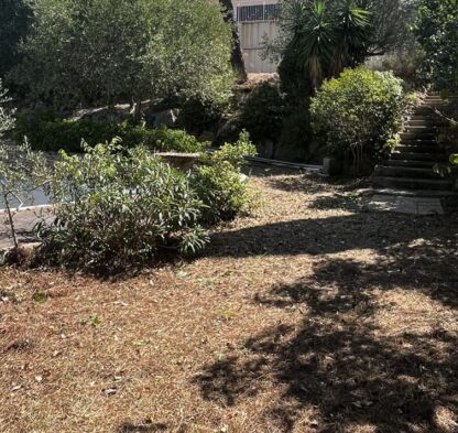 Chantier débroussaillage et élagage d’arbres professionnel Grande villa Béziers
