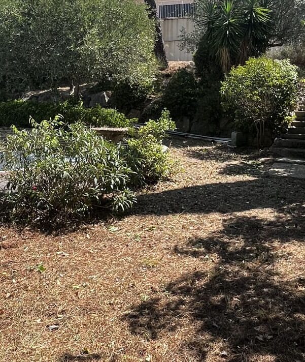 Chantier débroussaillage et élagage d’arbres professionnel Grande villa Béziers