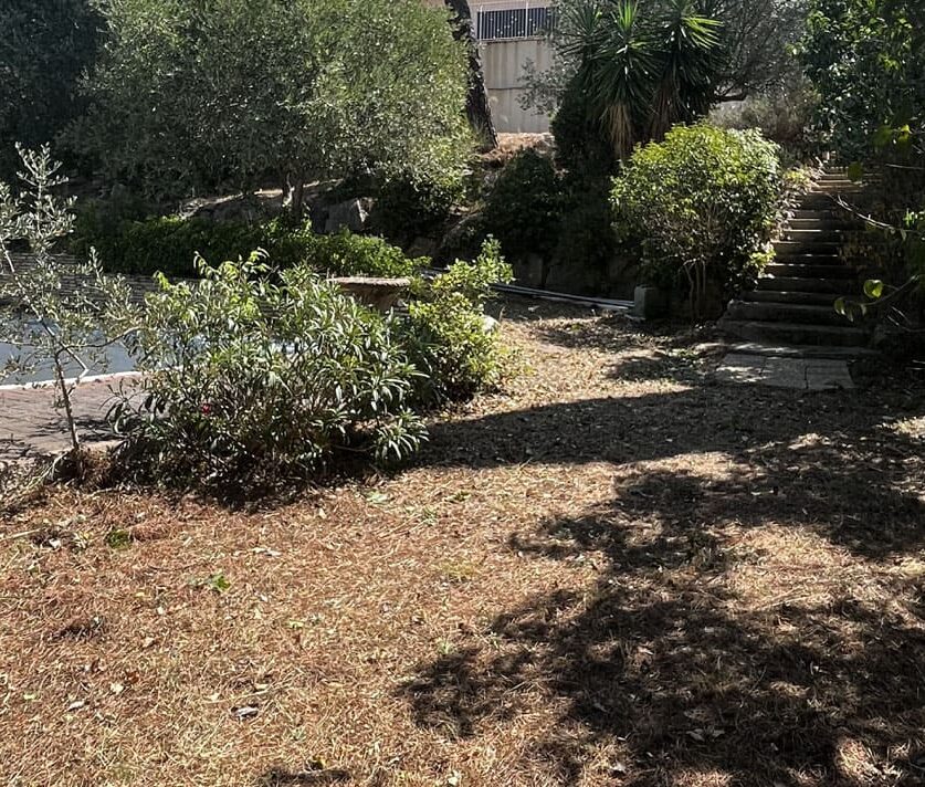 Chantier débroussaillage et élagage d’arbres professionnel Grande villa Béziers