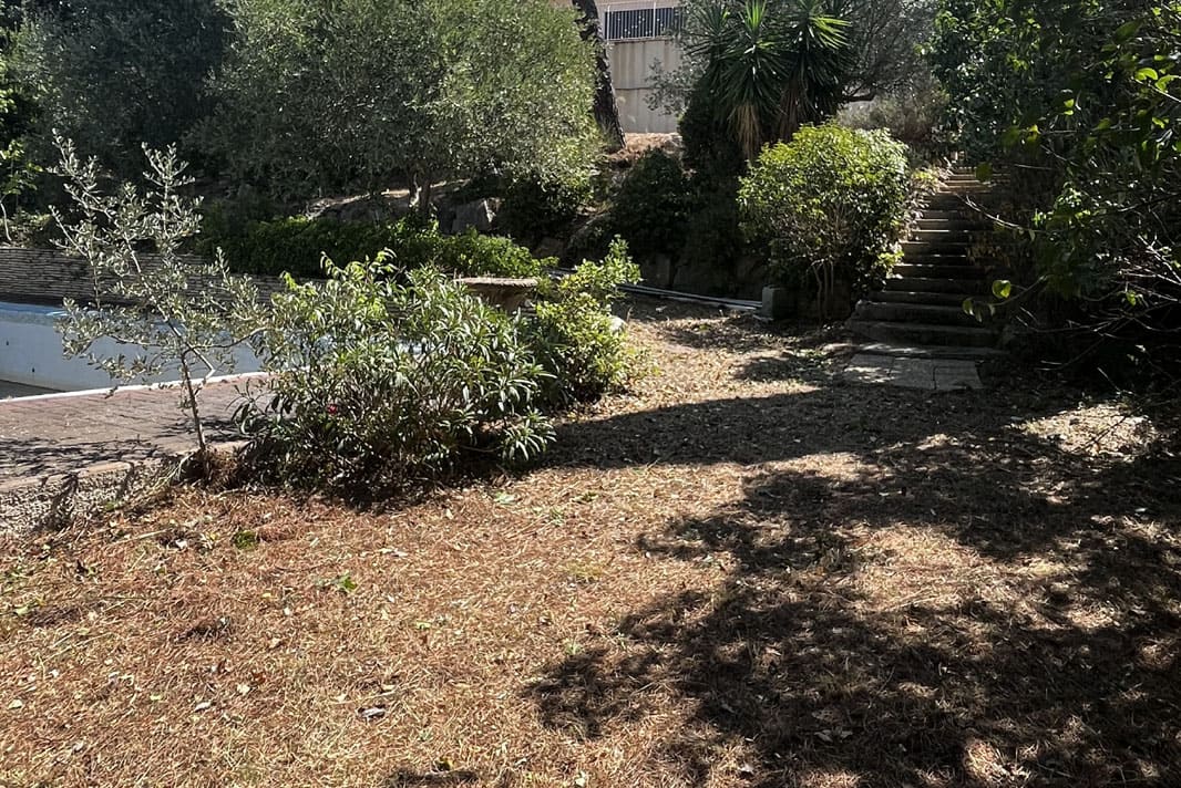 Chantier débroussaillage et élagage d’arbres professionnel Grande villa Béziers