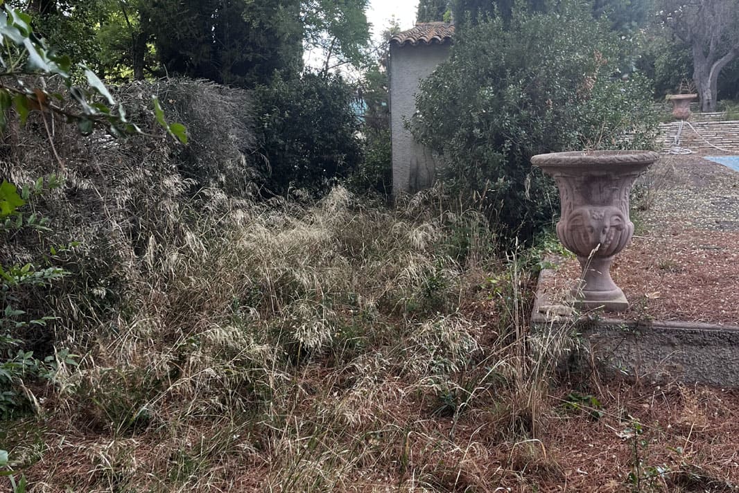 Chantier débroussaillage et abattage d’arbres dangereux Grande villa Béziers