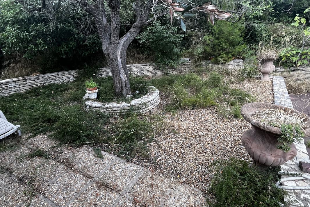 Chantier élagage d’arbres professionnel et débroussaillage d'une Grande villa à Béziers