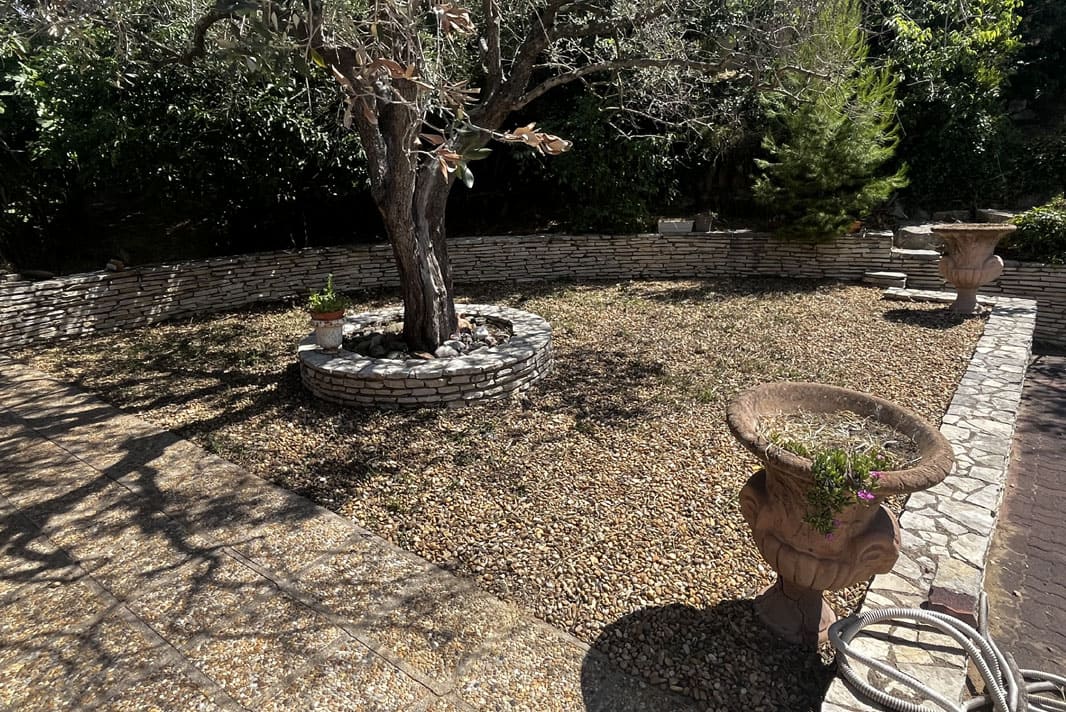 Chantier débroussaillage et dessouchage d'arbres d'une Grande villa à Béziers