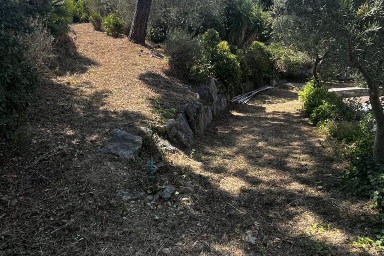 Chantier débroussaillage et dessouchage arbre Grande villa Béziers