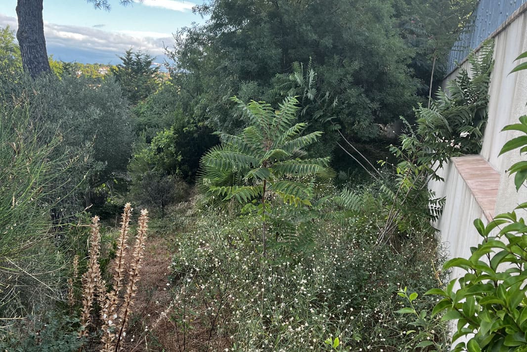 Chantier débroussaillage, entretien espaces verts particuliers et taille de haies Grande villa Béziers
