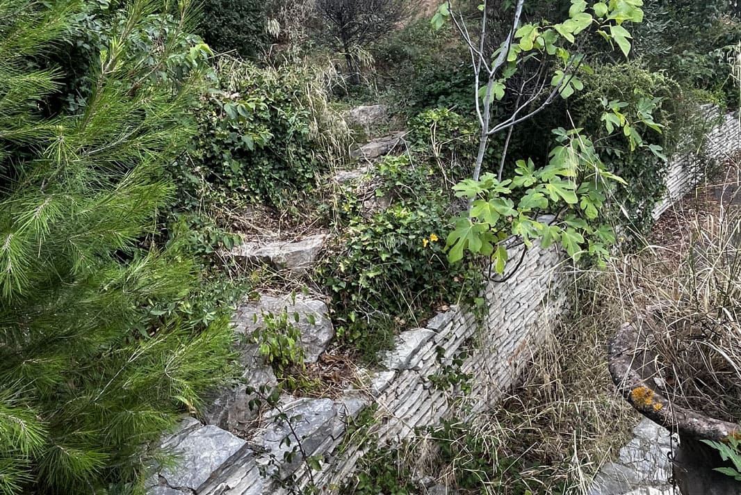 Chantier de débroussaillage, conception et réalisation de massifs végétaux avec création d’allées et bordures Grande villa Béziers