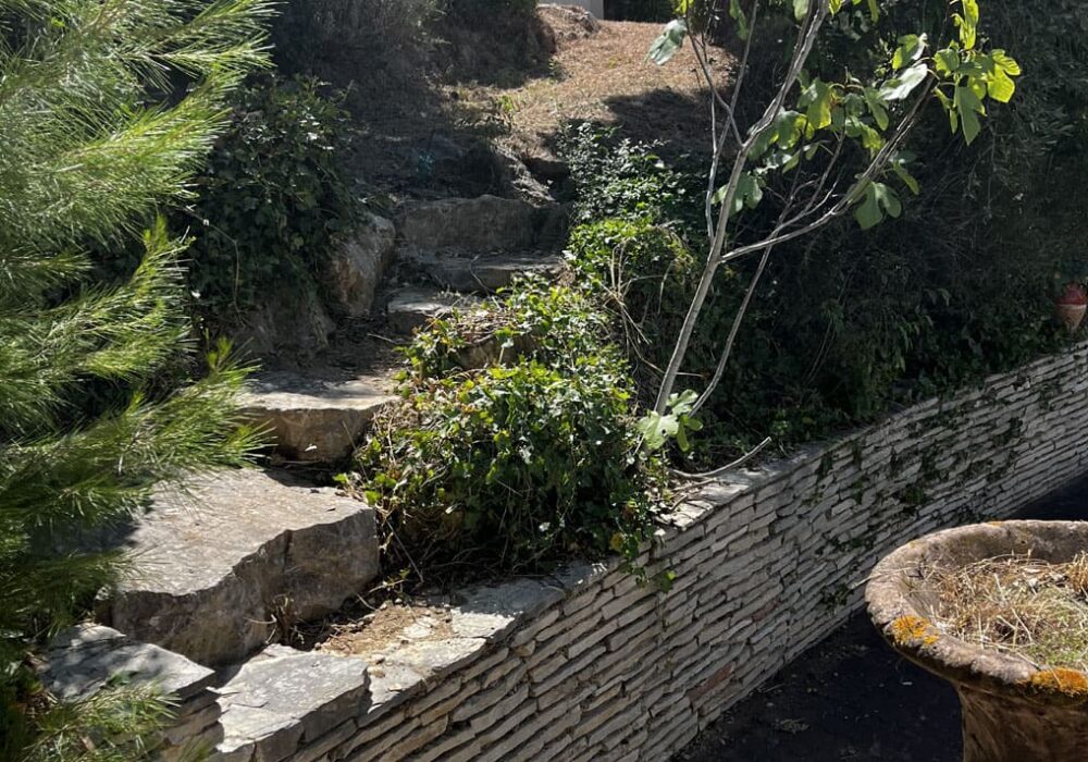 Chantier avant après débroussaillage Grande villa Béziers 11 Chantier de débroussaillage, conception et réalisation de massifs végétaux Grande villa Béziers