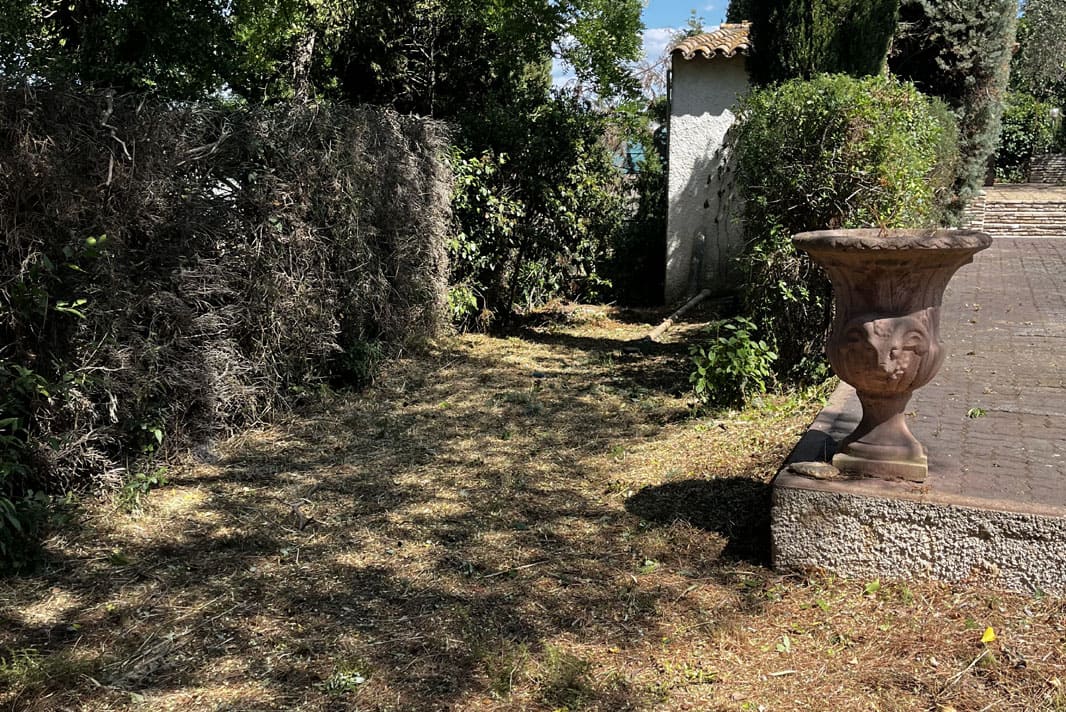 Paysagiste professionnel, conception et réalisation de massifs végétaux avec création d’allées et bordures Grande villa Béziers
