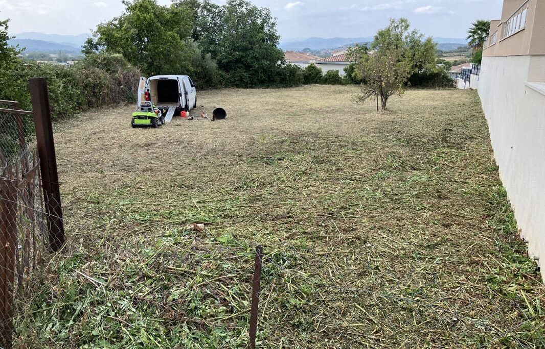 Entretien espaces verts particuliers avec débroussaillage terrain et taille de haies à Thézan