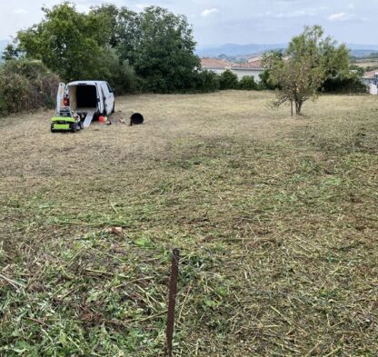 Entretien espaces verts particuliers avec débroussaillage terrain et taille de haies à Thézan