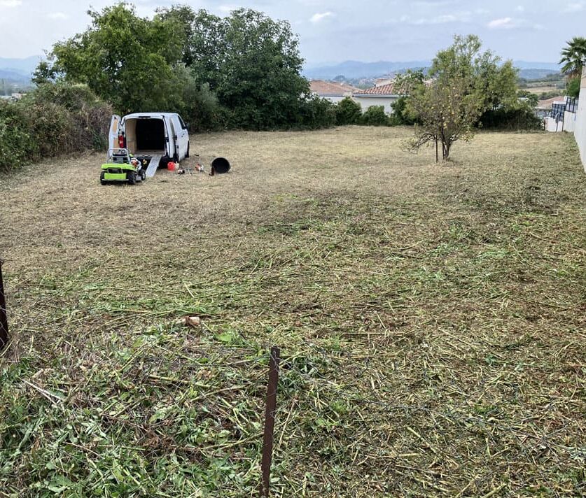 Entretien espaces verts particuliers avec débroussaillage terrain et taille de haies à Thézan