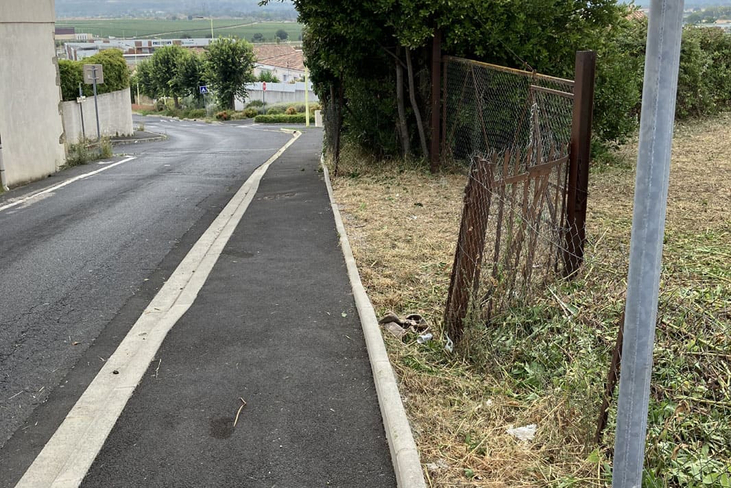 Entretien espaces verts particuliers avec débroussaillage terrain Thézan