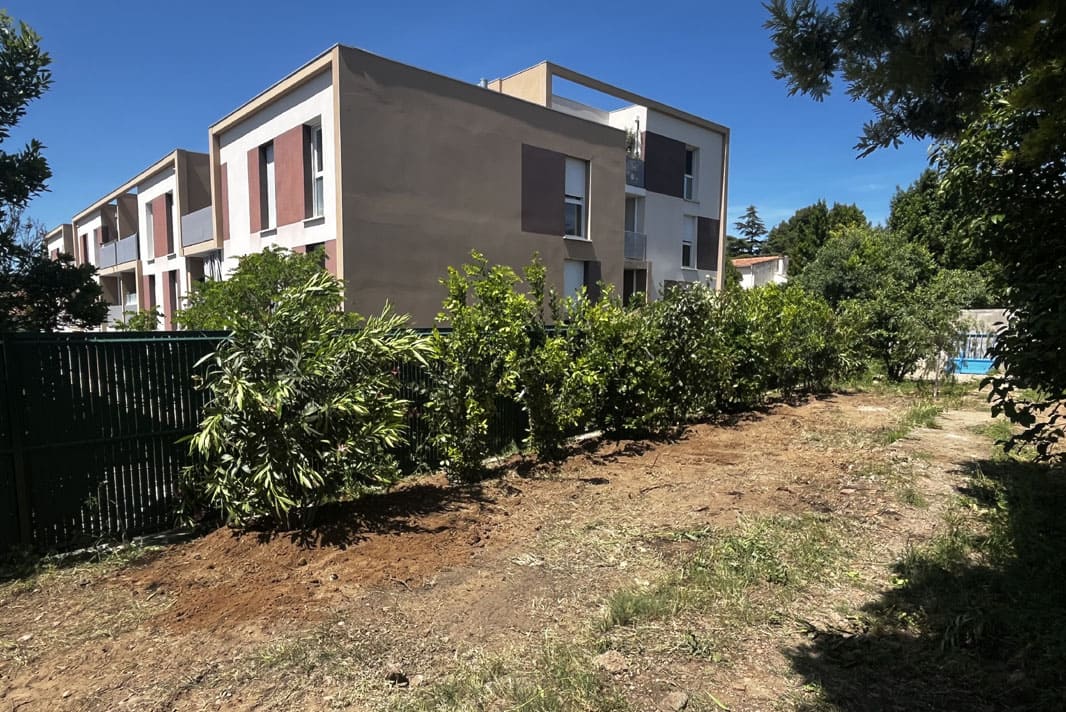 Démolition terrassement arrachage haies et arbustes Béziers