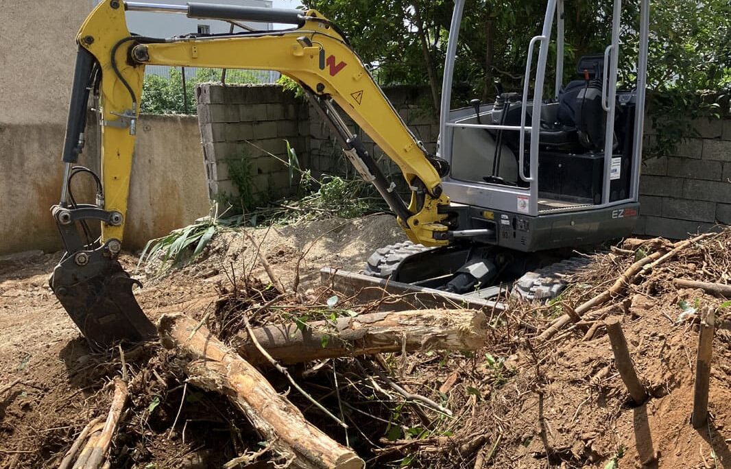 Démolition terrassement arrachage végétaux invasifs Béziers