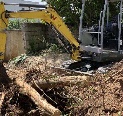 Démolition terrassement arrachage végétaux invasifs Béziers