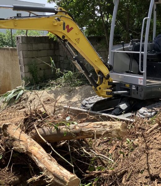 Démolition terrassement arrachage végétaux invasifs Béziers
