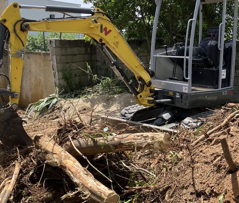 Démolition terrassement arrachage végétaux invasifs Béziers