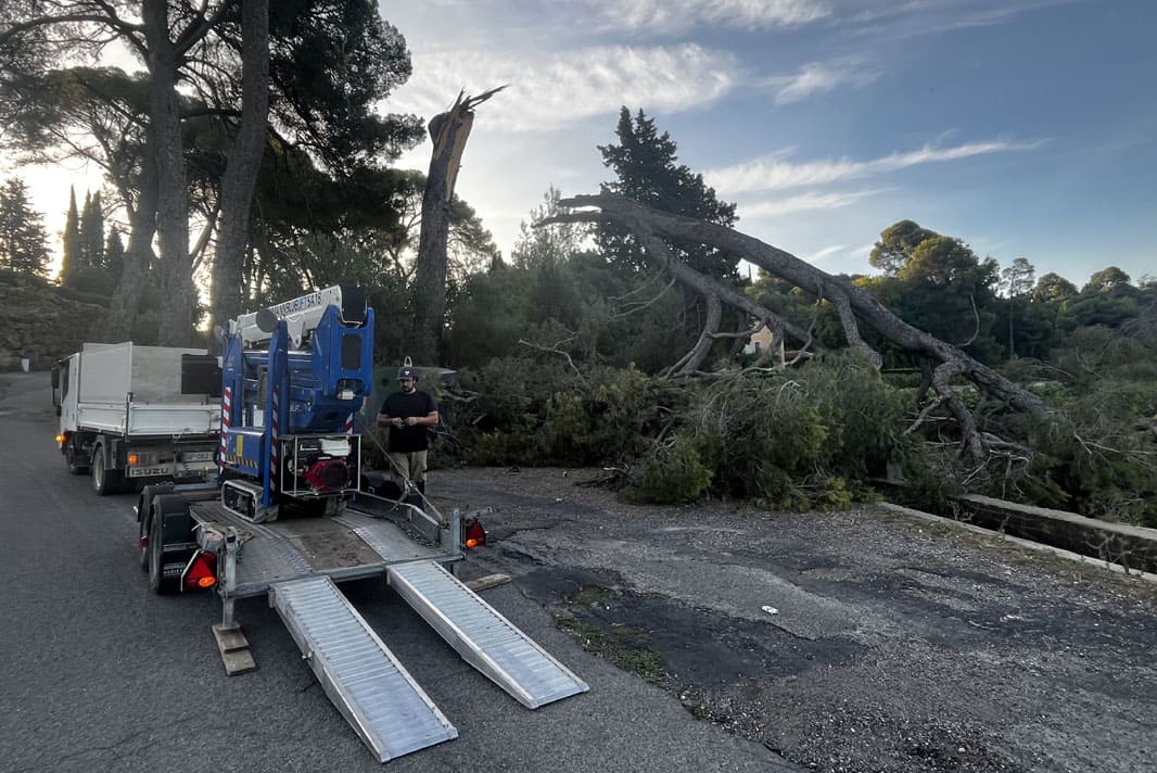 Utilisation d'une nacelle élévatrice pour l'élagage d’arbres en toute sécurité