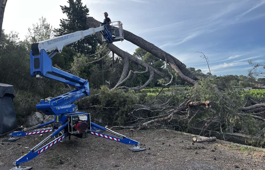 Utilisation d'une nacelle élévatrice pour l'abattage d’arbres dangereux et le découpage en toute sécurité