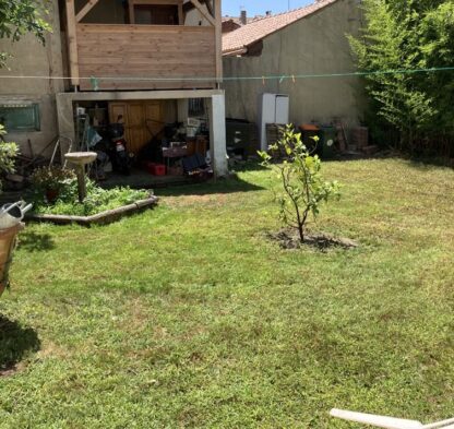 Aménagement d'un gazon en semi avec arrosage intégré , élagage arbres fruitiers à Béziers