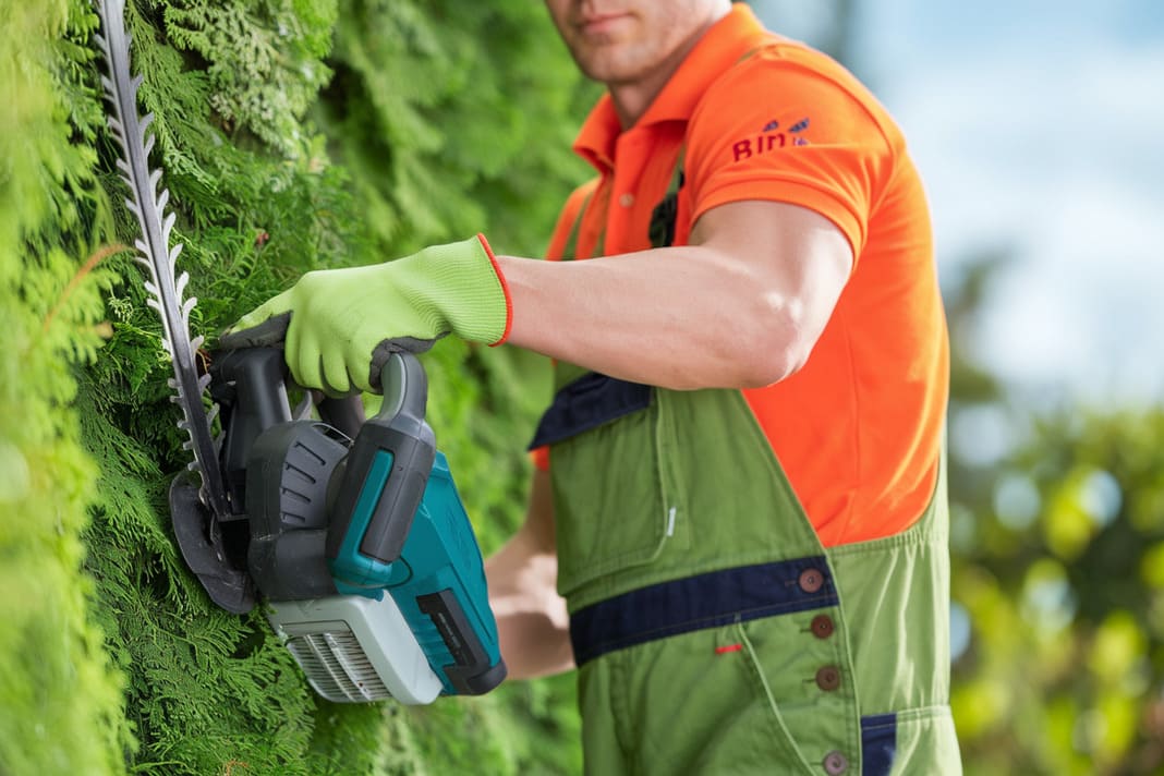 1. Entretien des Haies bonnes pratiques et obligations Légales par une entreprise élagage et paysagiste de Béziers