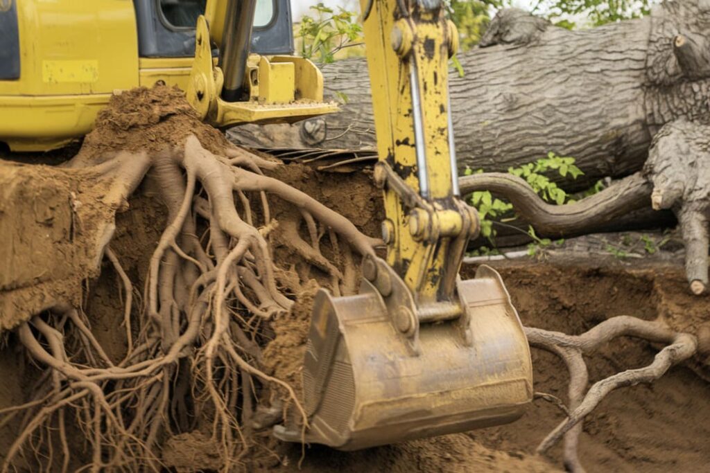 2. Dessouchage d’arbres et gestion des rémanents par une entreprise abattage et élagage de Béziers
