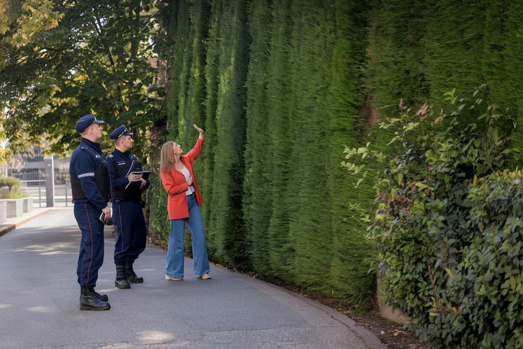 2. Entretien des Haies bonnes pratiques et obligations Légales par une entreprise élagage et paysagiste de Béziers
