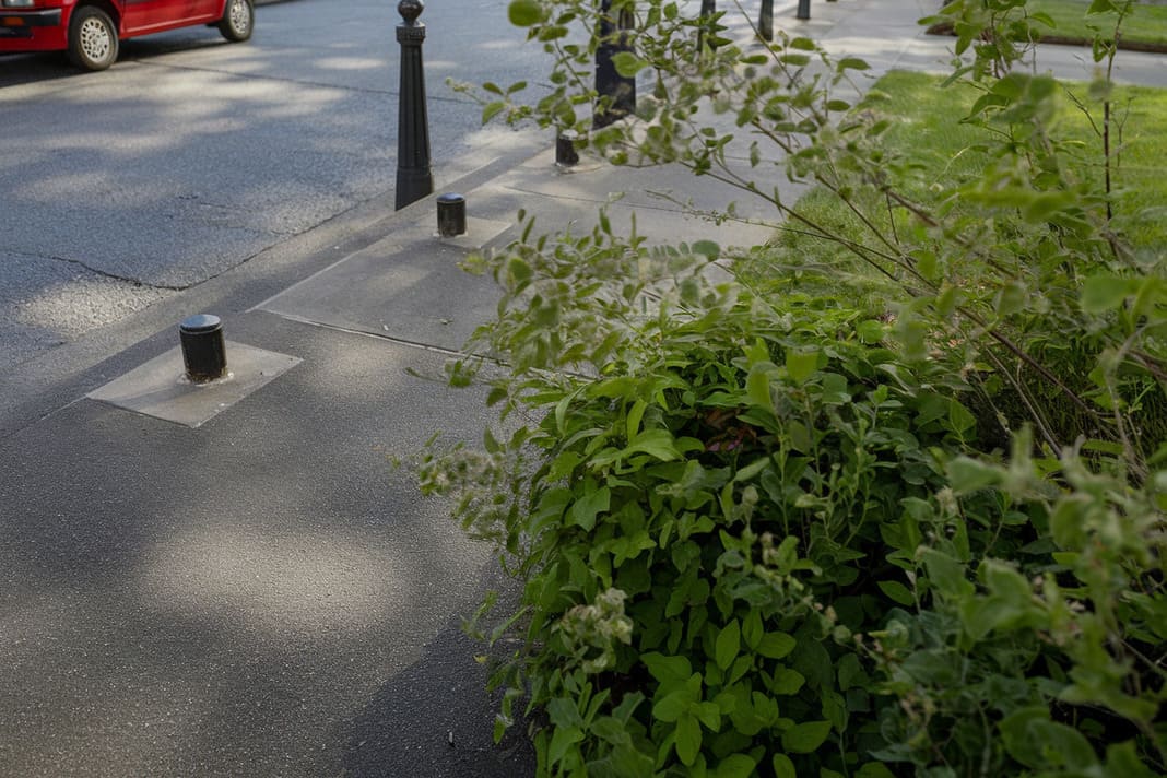 3. Entretien des Haies bonnes pratiques et obligations Légales par une entreprise élagage et paysagiste de Béziers