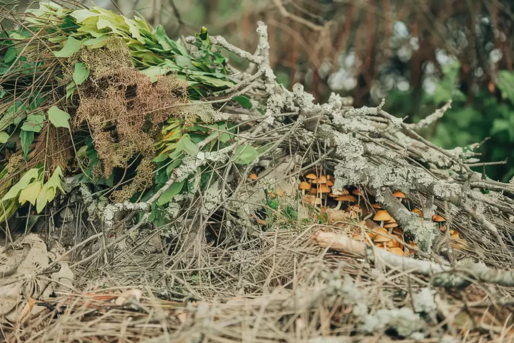 4.-recyclage-et-valorisation-des-dechets-verts - MP Entrepreneur du paysage de Béziers : abattage, élagage d'arbres et débroussaillage des espaces verts