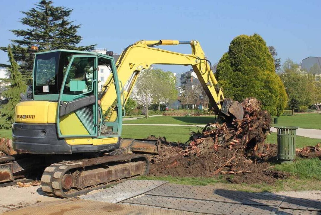 Dessouchage de souche d’arbres a la pelle mécanique et gestion et évacuation des rémanents