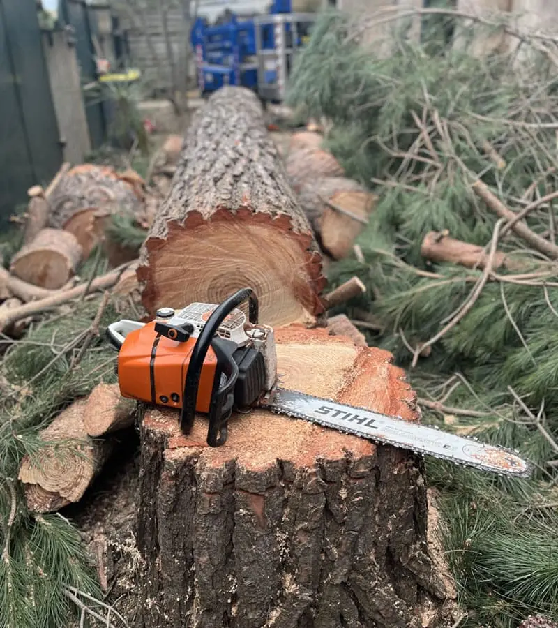 Materiel abattage et élagage d'arbres - Tronçonneuse thermique professionnelle Béziers