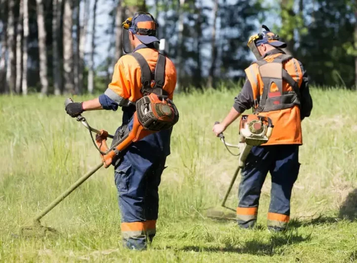 Conseil - Les Obligations légales de débroussaillage à respecter
