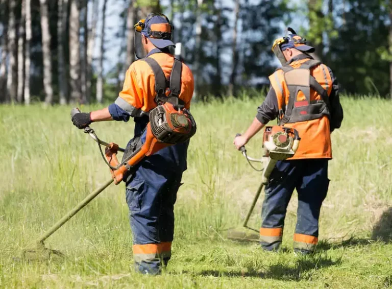 Conseil - Les Obligations légales de débroussaillage à respecter