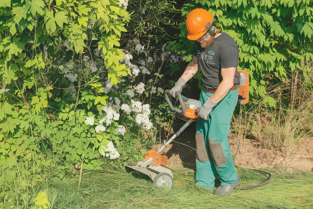 Obligations légales de débroussaillage manuel à la tondeuse - Entreprise abattage et élagage d'arbres sur Béziers