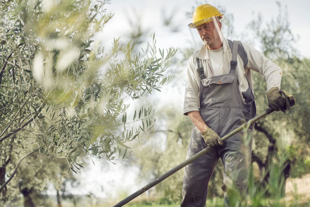 Obligations légales de débroussaillage tondeuse - Entreprise abattage et élagage d'arbres sur Béziers