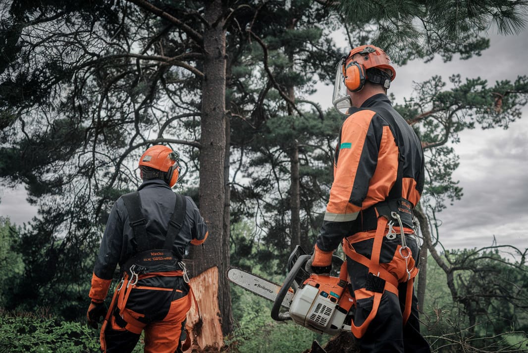 Obligations légales de débroussaillage voisinage - Entreprise abattage et élagage d'arbres sur Béziers